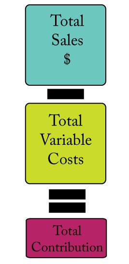 IB Business Studies Contribution Costs